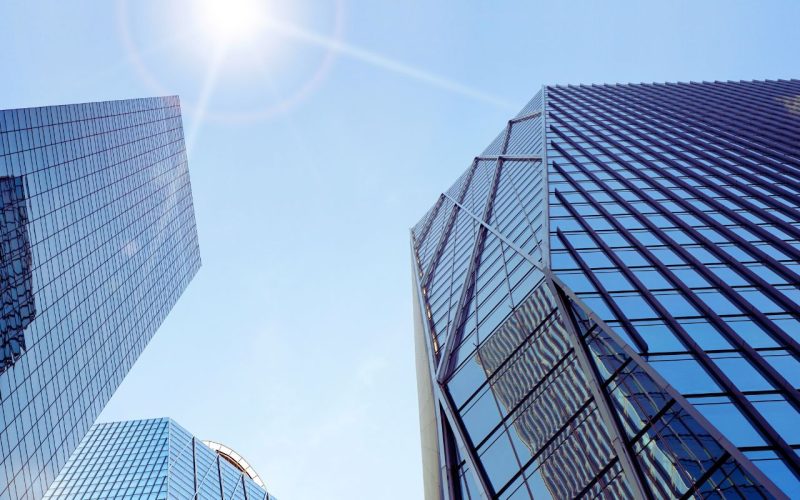 企業の「ファン化」で組織が伸びる