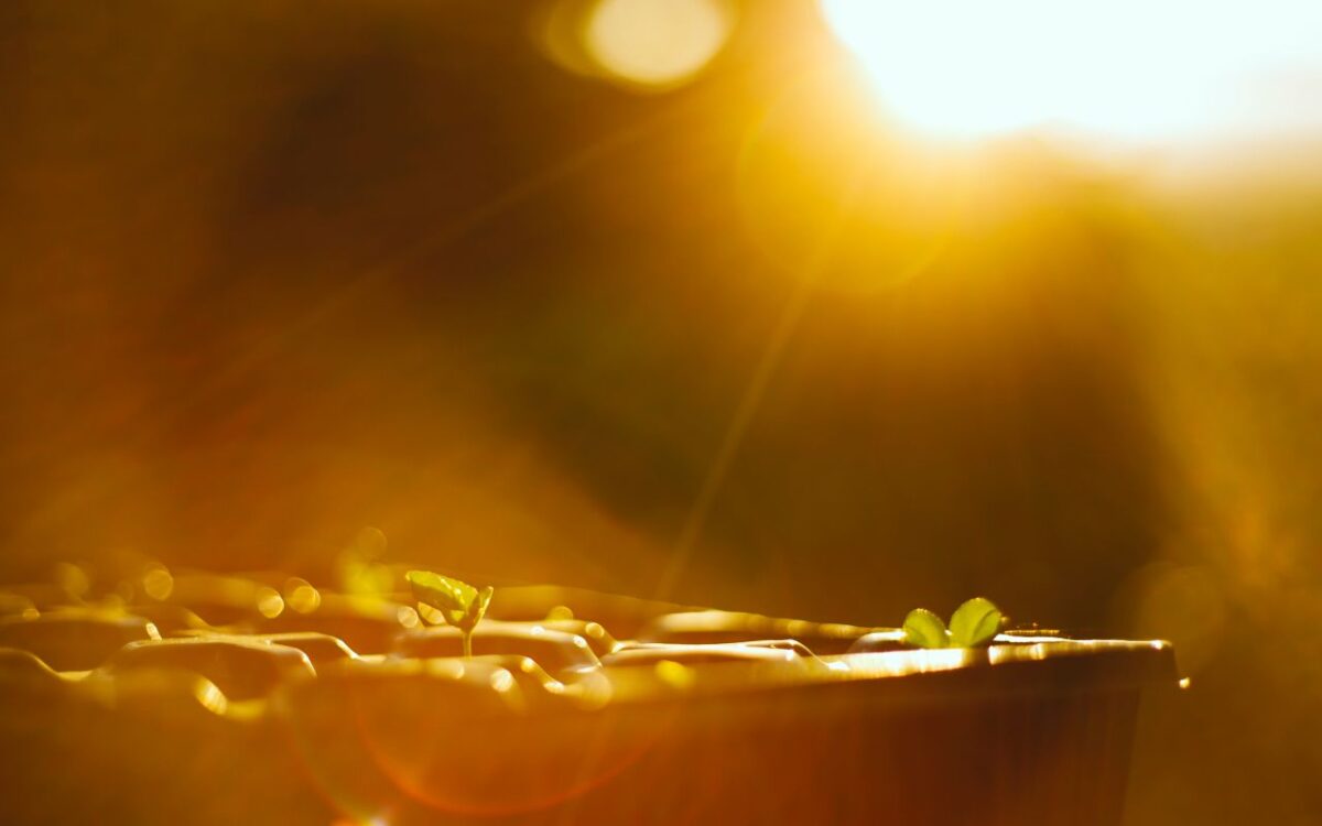 理念は掲げるものから共鳴を生むものへ